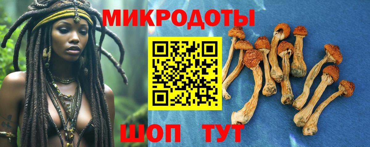 Галлюциногенные грибы Cubensis  Вход с VPN  Югорск  Псилоцибиновые грибы мухоморы 